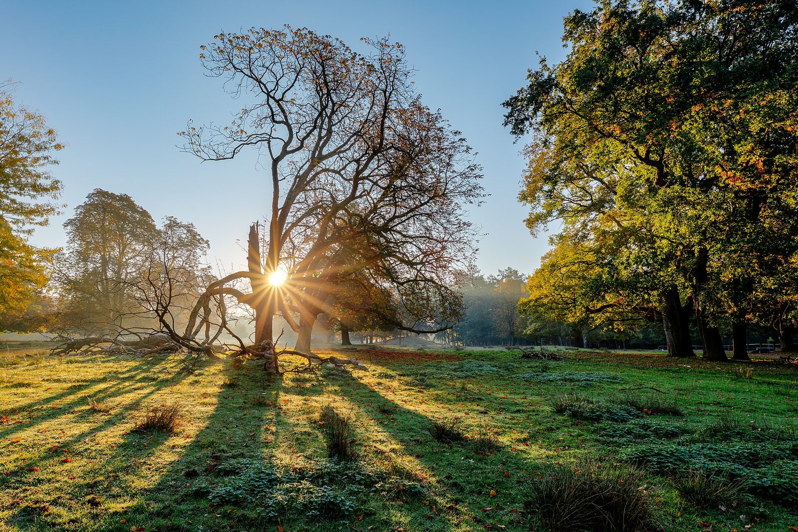Top 10 Gartenbau & Gartengestaltung