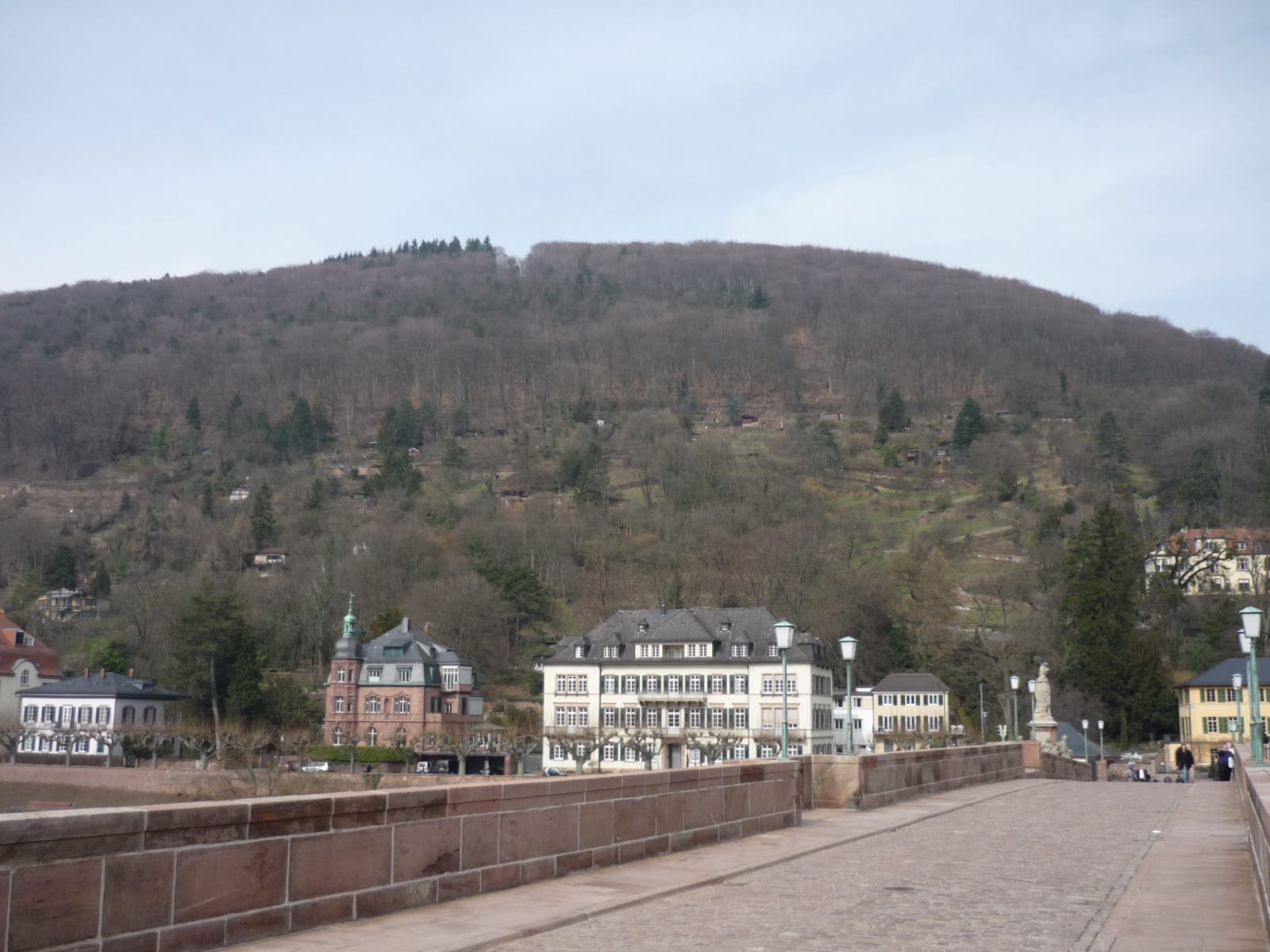 Top 10 Outdoor-Aktivitäten in Heidelberg