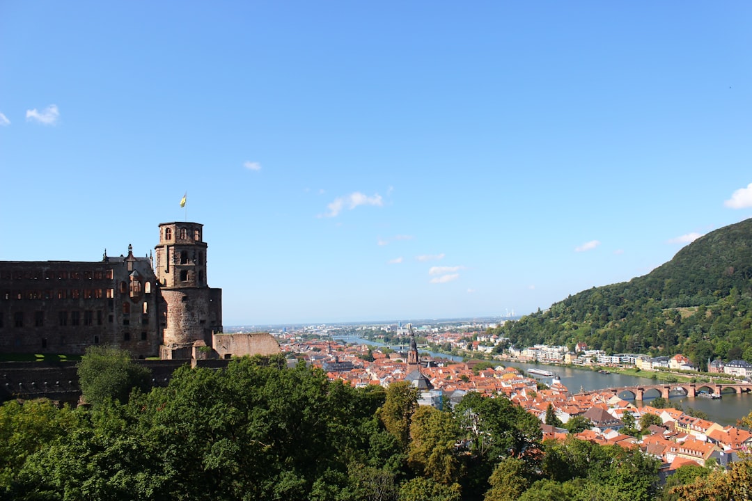 Top 10 Rechtsanwälte in Heidelberg: Expertenhilfe in verschiedenen Rechtsangelegenheiten.