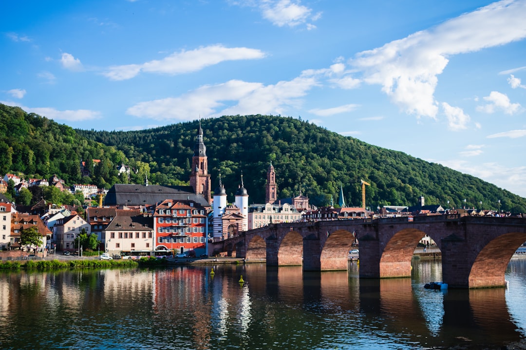 Top 10 Nachhilfe- und Sprachschulen in Heidelberg: Unterstützung beim Lernen und Spracherwerb.